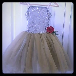 Silver/Gold Ballerina Tutu